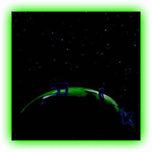 popup_image
